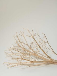 Puur uitvaart sfeer-09_web